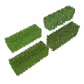 Four Rectangular Shaped Green Neatly Trimmed Bushes On White Background