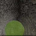 Lush Arbor Camphor Tree Standing On Stone Pavement With Green Lawn And Person