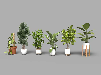 Various Bonsai Potted Plants with Different Green Species and Decorative Planters 3d model