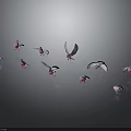 Colorful Birds with Spreading Wings and Resting Positions on Black Background with Reflective Surface