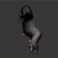 Various Sizes Primate Animal Models Standing In Gray Background With Reflective Floor