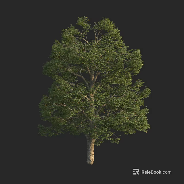 Lush Arbor Tree With Green Foliage And Brown Trunk On Black Background 3d model 