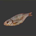 Whole Dried Fish with Golden Brown Appearance and Dry Textured Surface