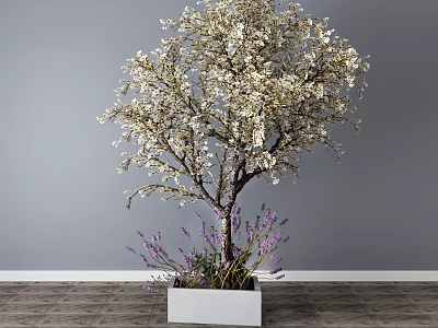 Bonsai Plant with White Blossoms and Purple Lavender in White Square Pot on Wooden Floor 3d model