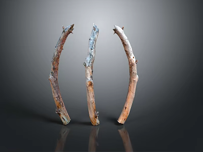 Curved Plant Branches With Different Colored Textures On Grey Background And Bottom Reflection 3d model