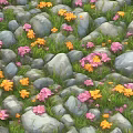 Natural Rock Pile Landscape With Colorful Pink Yellow Flowers And Green Grass