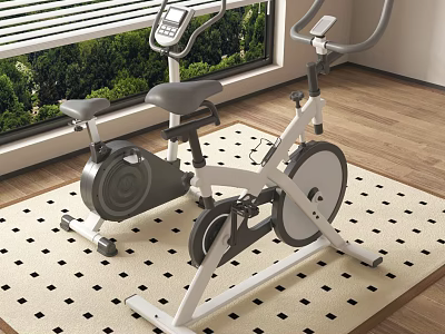 Indoor Exercise Equipment Stationary Bikes With Window Green View And Wooden Floor Mat 3d model
