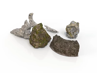 Natural Wood and Stone Pieces with Mossy Surfaces and Rough Textures 3d model