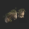 Natural Stone Wood Garden Decor With Green Leaves And Climbing Vines