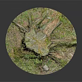 Natural Wood Stone Tree Stump Decorative Piece With Moss And Natural Texture