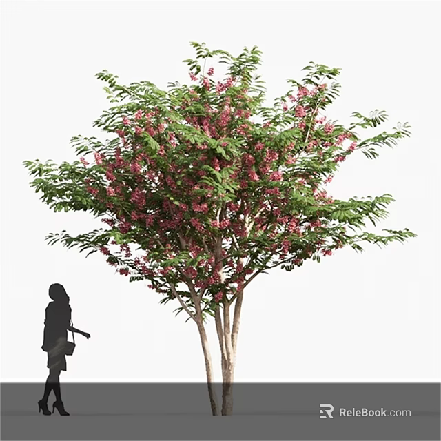 Ornamental Shrub with Pink Flowers and Green Leaves Near Person Silhouette 3d model 