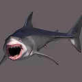 Realistic Great White Shark With Open Mouth Sharp Teeth And Gray Body 3d model