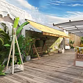Tropical Garden Landscape With Glass Roof Wooden Deck Outdoor Seating And Lush Green Plants