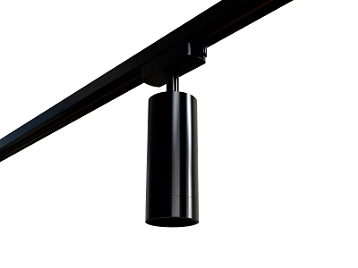 Modern Black Track Mounted Downlight Spotlight Contemporary Home Ceiling Lighting Fixture 3d model