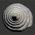 Modern Conch Bone Snail Field Snail 3d model