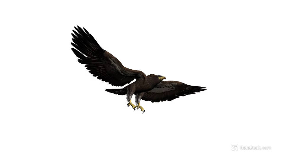 Majestic Flying Eagle With Spread Wings And Sharp Talons In Mid Air 3d model 