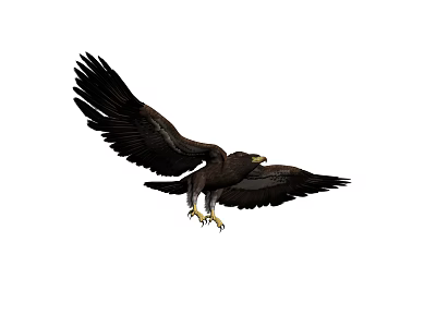 Modern Eagle 3d model