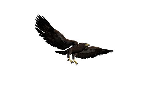 Modern Eagle 3d model