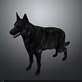 Black Dog Standing in Side View With Open Mouth and Tongue Against Gray Background