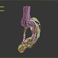 Robot Arm Mechanical Arm Robot Arm Robot Head Robot Parts Robot Hand Manipulator 3d model