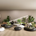 Modern Office Landscape Design With Various Green Plants And Stone Pots On Wooden Floor