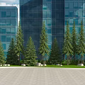 Evergreen Trees in Front of Modern Glass Buildings With Lawn and Stone Pavement