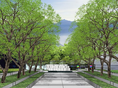 Tall Trees Lined Scenic Pathway With Green Foliage And Mountain View 3d model