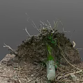 Natural Scene Featuring Earth Mound With Dry Branches Tree Roots Green Log And Scattered Soil