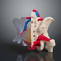 Medical Device Spinal Anatomical Model With Colored Nerves Vessels And Bones For Medical Education