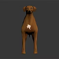 Brown Dog with White Chest Marking Standing on Dark Background in 3D Render