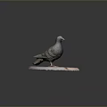 Decorative Handcrafted Pigeon Sculpture Perched On Circular Wooden Base