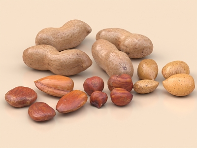 nuts dried fruit food snacks brazil nuts pistachio walnut red bean almond 3d model