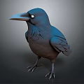 3D Rendered Blue And Brown Crow With Black Eyes Standing On Gray Background