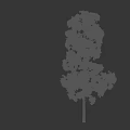 Blue eucalyptus grass fruit ash willow jade tree oil tree myrtle landscape tree forest big tree small tree spring tree summer tree autumn tree bodhi 3d model