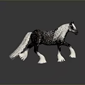 Black And White Horse With Long White Mane And Tail White Hooves Walking With Reflection