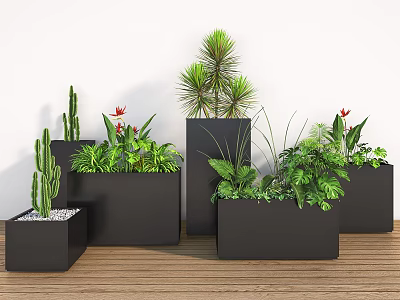 Various Green Plants And Flowers In Black Planters Against White Wall On Wooden Floor 3d model