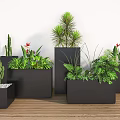 Various Green Plants And Flowers In Black Planters Against White Wall On Wooden Floor