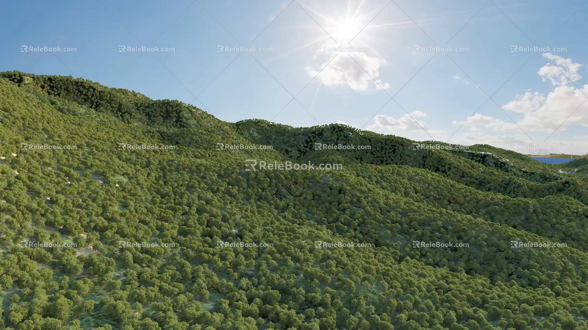 mountain forest 3d model