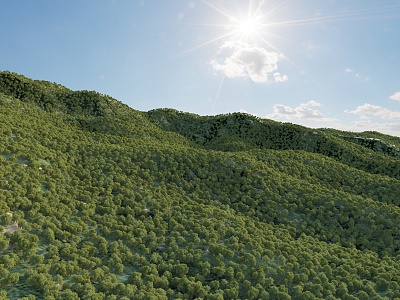 mountain forest 3d model