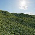 mountain forest 3d model