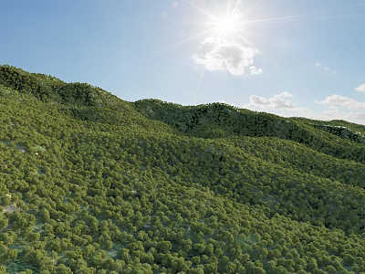 Beautiful Rolling Green Mountains Covered in Dense Forest Under Sunlight Blue Sky and White Clouds 3d model