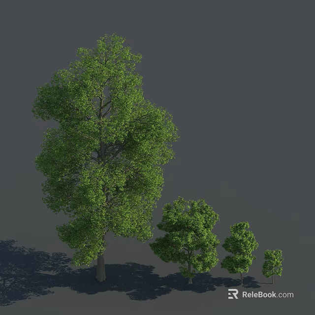 Green Arbor Trees In Different Sizes With Shadows On Gray Background 3d model 