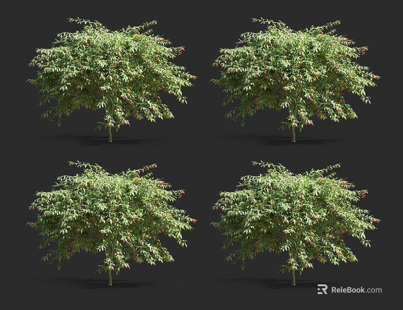 Lush Green Arbor With Dense Foliage And Natural Tree Structure Multiple Views 3d model