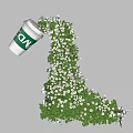Artistic L shaped Floral Installation with CNN Coffee Cup Green Vines and White Flowers