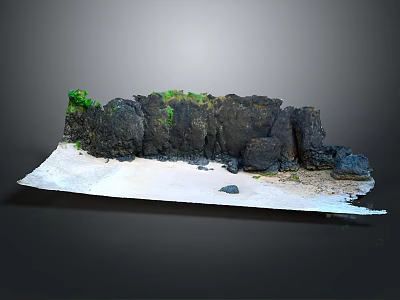 Natural Wood and Stone Materials Scene With Black Rocks Green Plants And Sandy Area 3d model