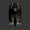 Brown Rat With Detailed Fur Large Ears And Long Tail Standing On Reflective Dark Surface