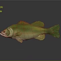Lifelike Green Yellow Decorative Fish Model For Home Household Decor Accessory