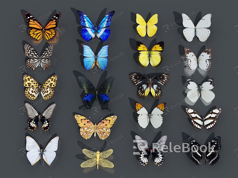 butterfly butterfly specimen model