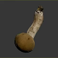 Fresh Natural Brownish Orange Cap Mushroom With White Stem Edible Food