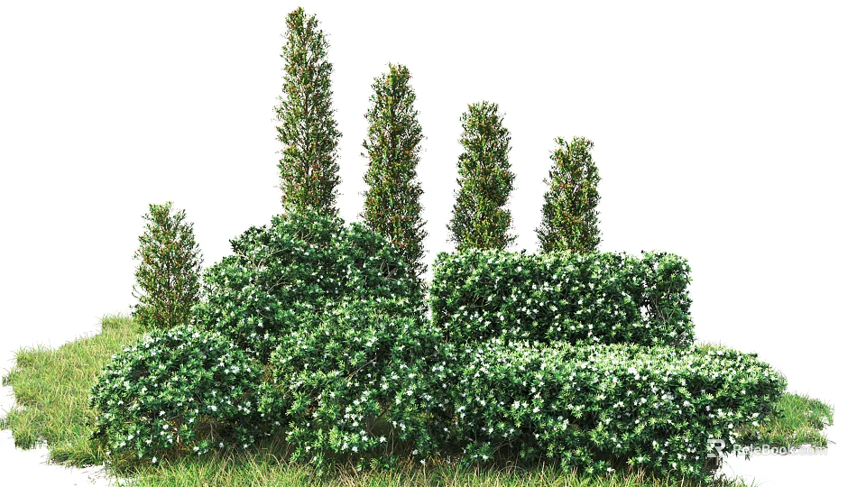 Lush Green Shrubs With Layered Heights And Dense Foliage In Garden Landscape 3d model 